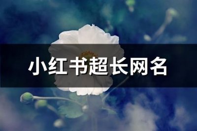 ​小红书超长网名(共267个)