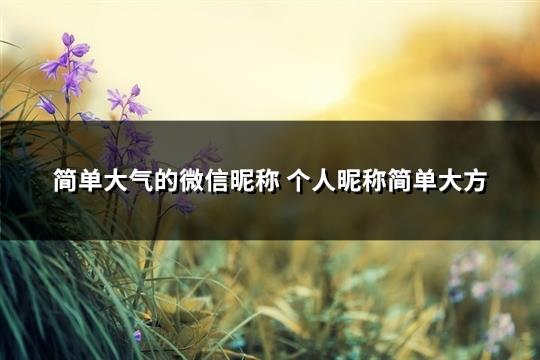 简单大气的微信昵称 个人昵称简单大方(优选557个)