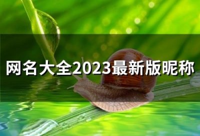 ​网名大全2025最新版昵称(优选139个)