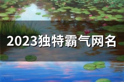 ​2025独特霸气网名(237个)